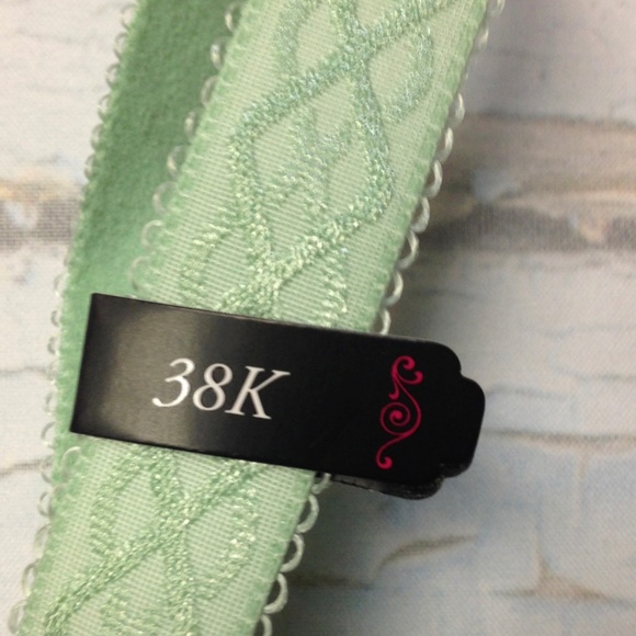 1st & Curve Madison Mist Green Bra - Picture 3 of 4